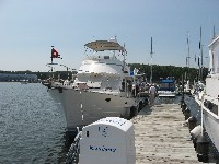 IMG_2010 (800x600, 120kb)