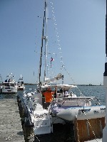 P1110974 (600x800, 110kb)