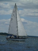 P1030511 (675x900, 121kb)
