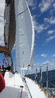 P1030523 (507x900, 101kb)