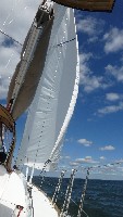 P1030524 (507x900, 104kb)