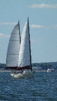 P1030550 (507x900, 108kb)