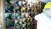 20170408_104154_1491705292164_resized (1100x619, 199kb)