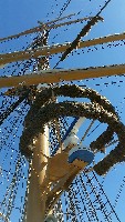 20170408_113855_1491705182440_resized (619x1100, 262kb)